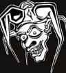 ikona