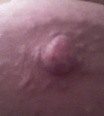 mrduchtiva