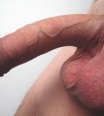 rodriguez1